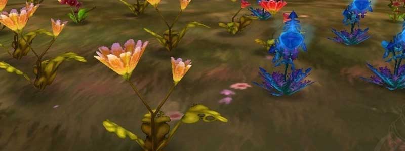 TBC Herbalism Leveling Guide